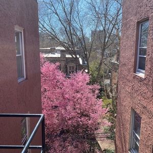 Meet your Posher, Kaylei